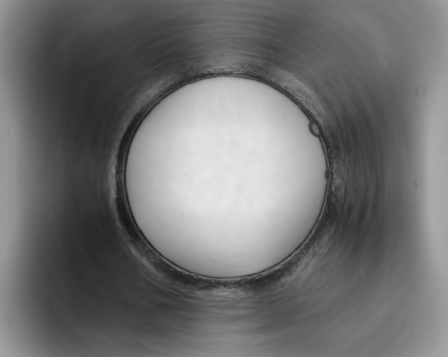 X0000091570578200709171059