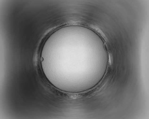 X0000091570579200709171059