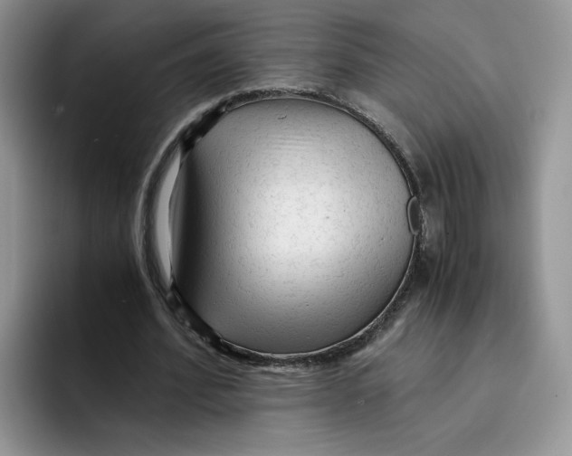 X0000091570580200709171059