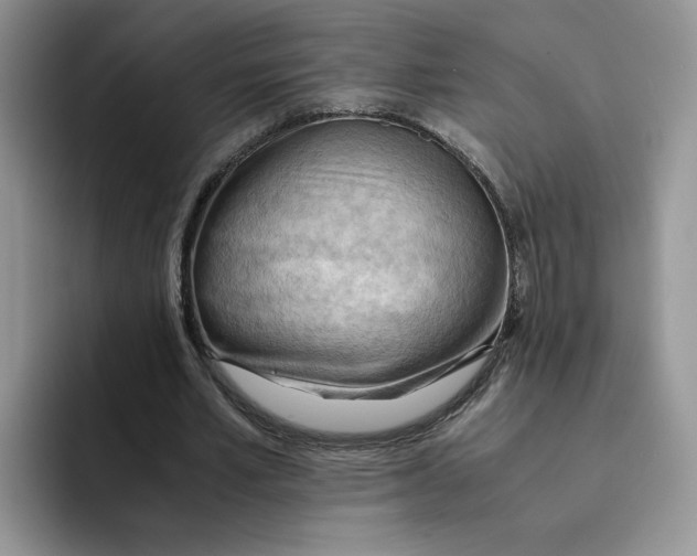 X0000091570581200709171059