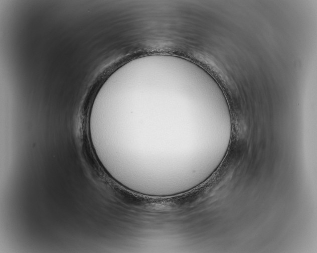 X0000091570583200709171059