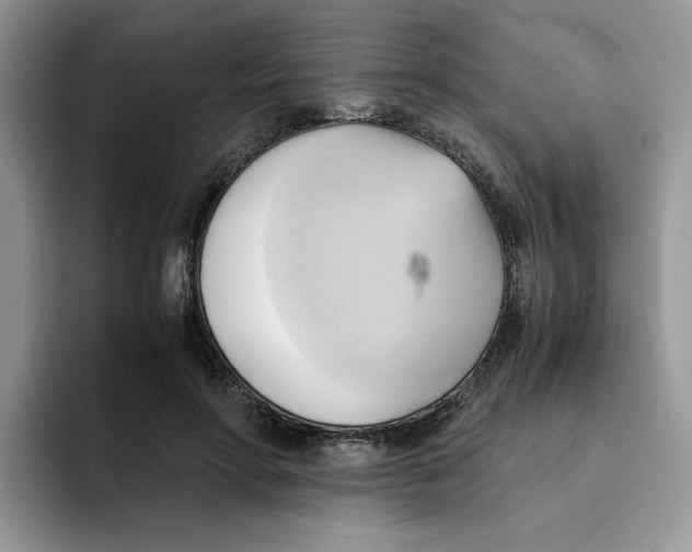 X0000091570598200709171059