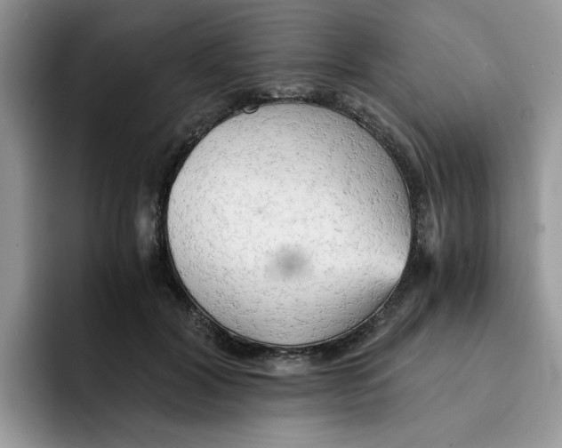 X0000091570604200709171059