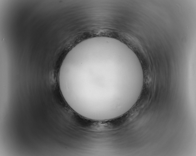 X0000091570607200709171059