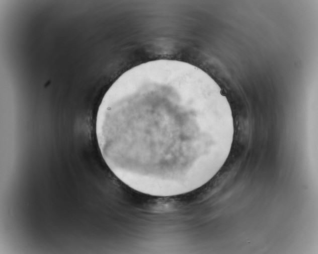 X0000091570612200709171059