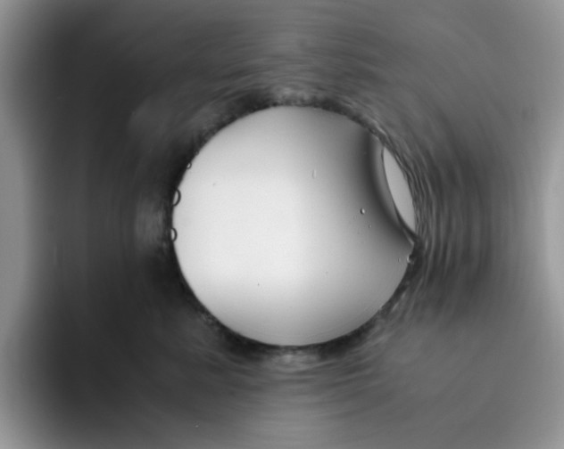 X0000091570619200709171059