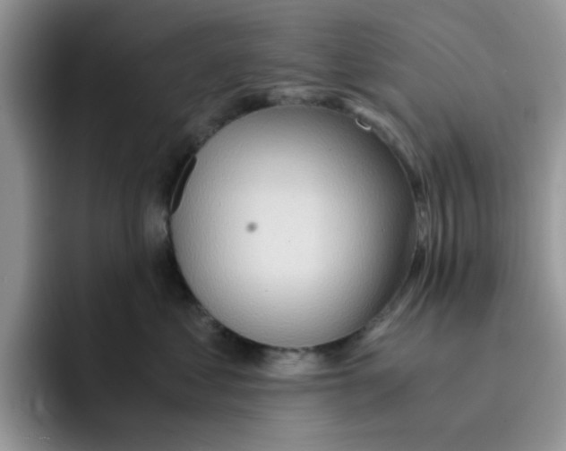 X0000091570621200709171059