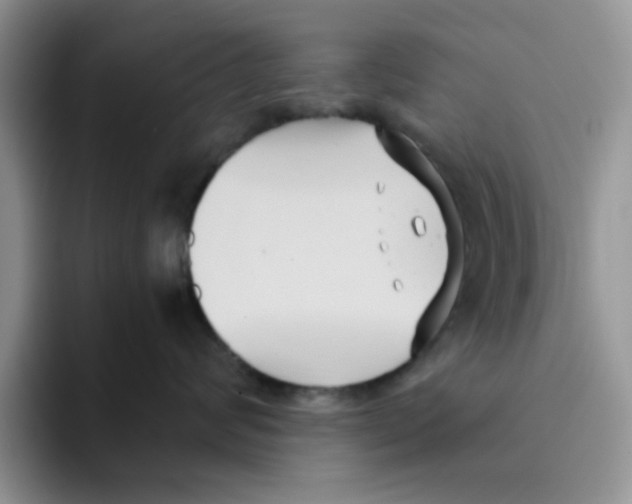 X0000091570624200709171058