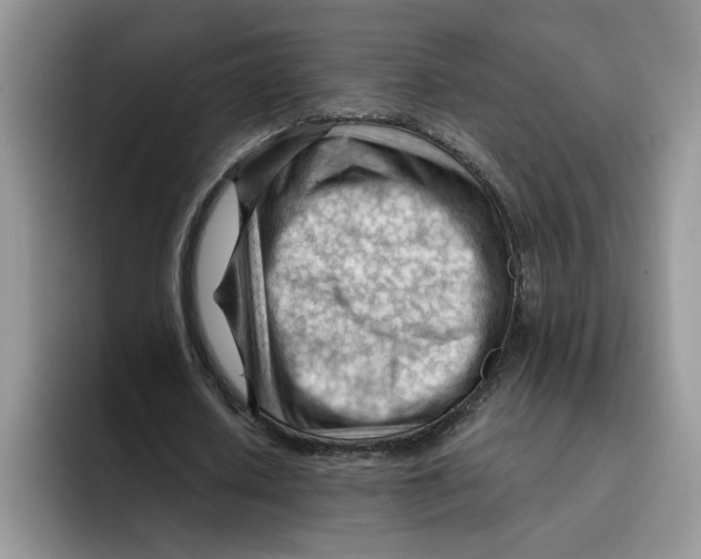 X0000091570626200709171058