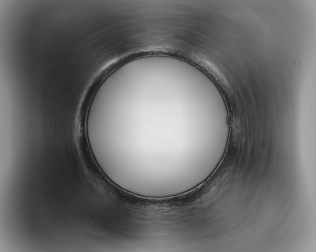 X0000091570628200709171058