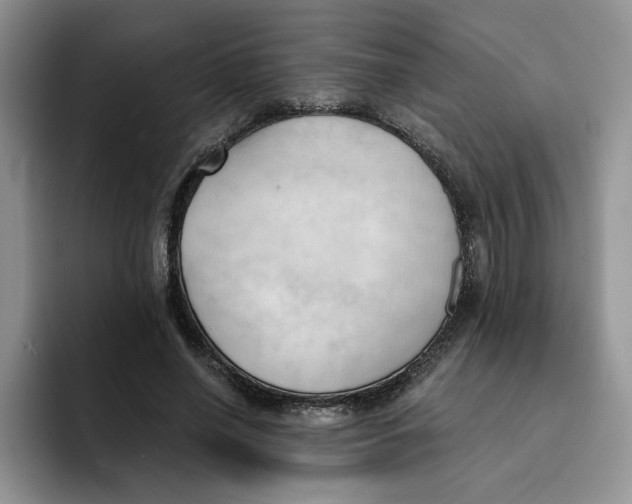 X0000091570638200709171058