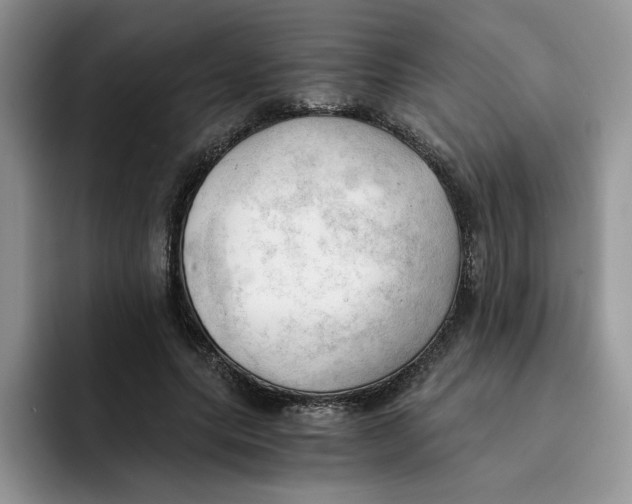 X0000091570639200709171058