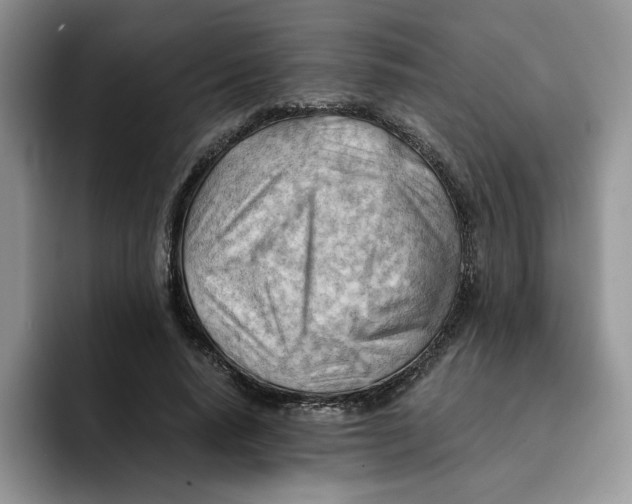 X0000091570640200709171058