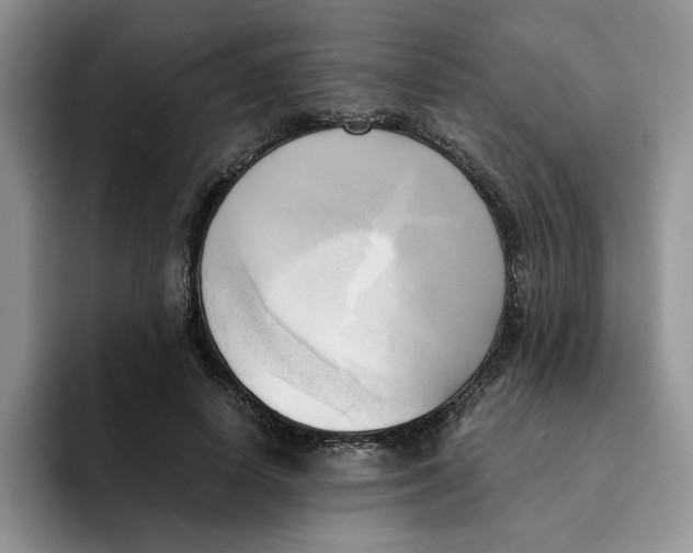 X0000091570642200709171058