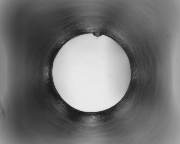 X0000091570646200709171058