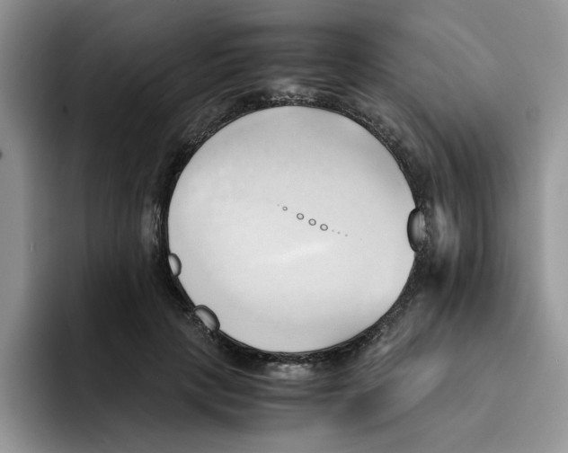 X0000091570649200709171058