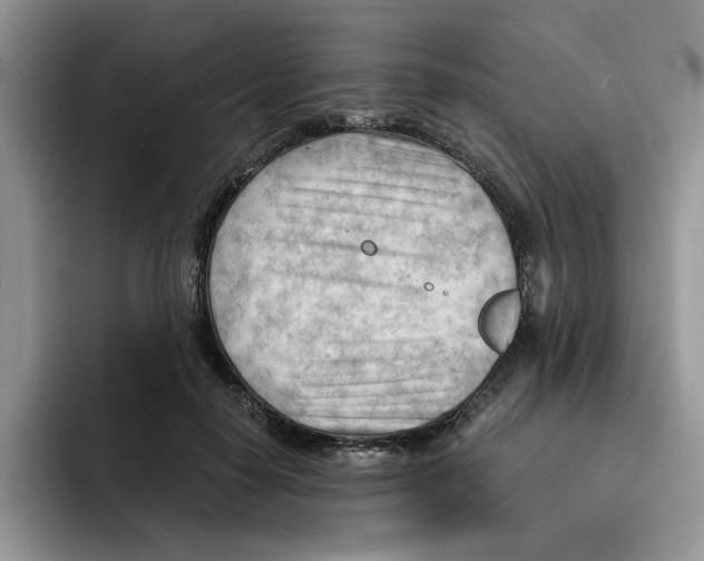 X0000091570650200709171058