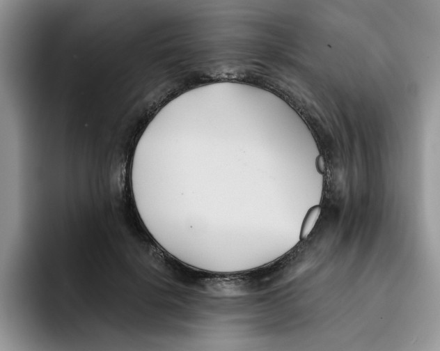 X0000091570652200709171058