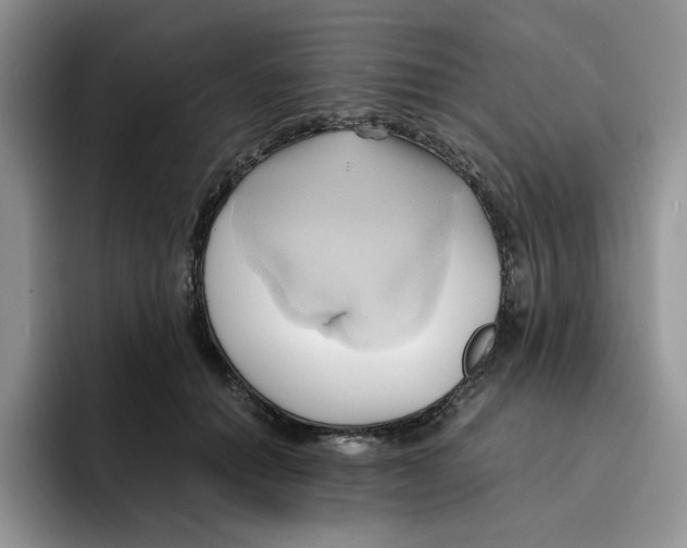 X0000091570654200709171058