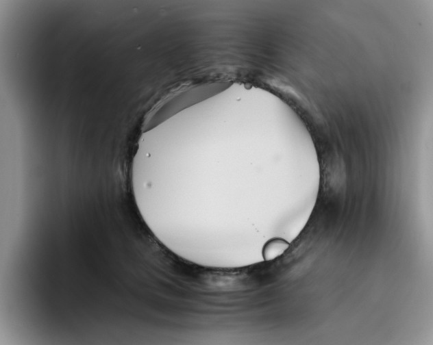 X0000091570661200709171058