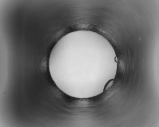 X0000091570668200709171058