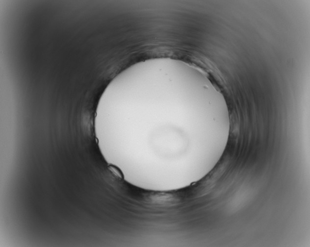 X0000091570669200709171058