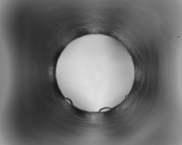 X0000091570670200709171058