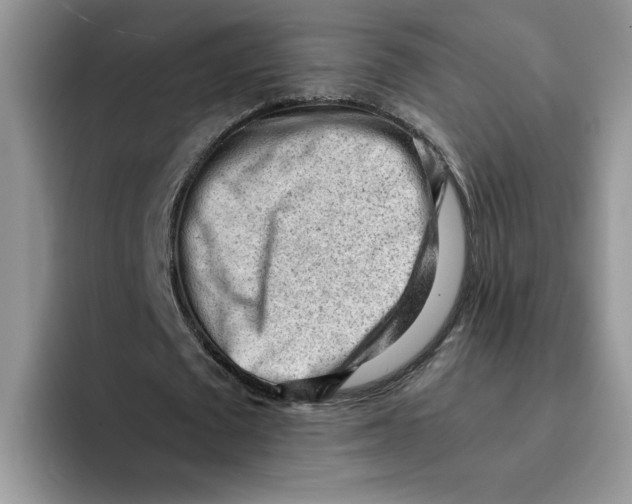 X0000091570673200709171058