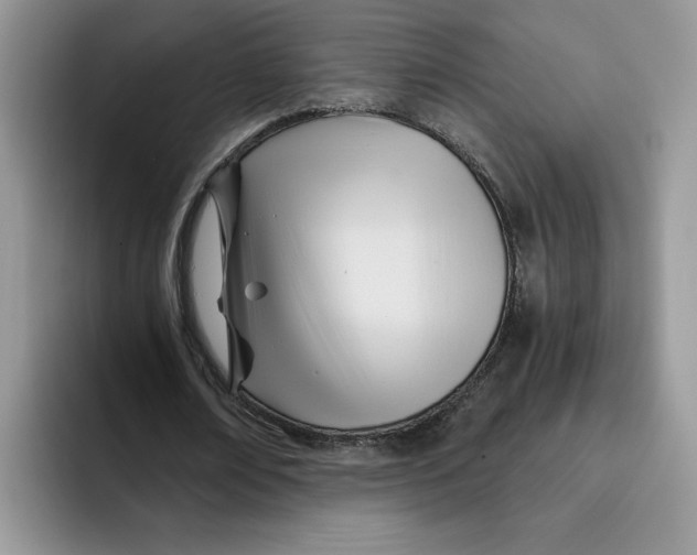 X0000091570674200709171058