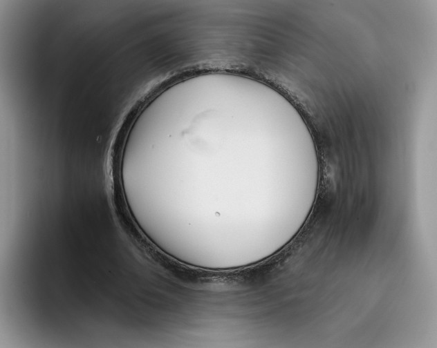 X0000091570678200709171058