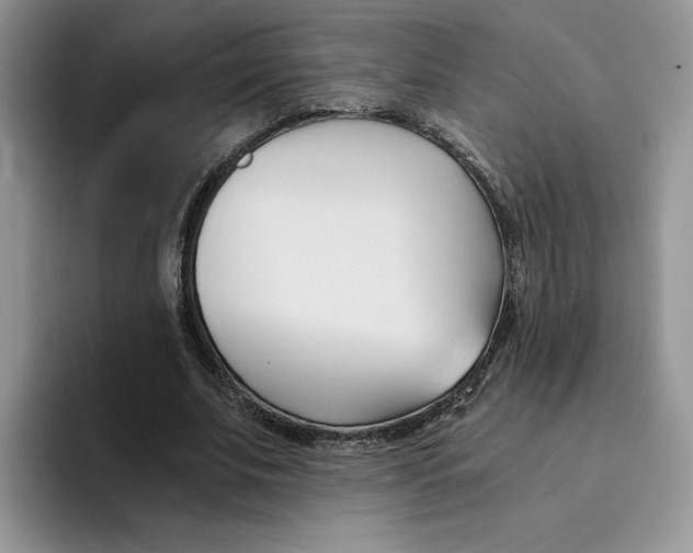 X0000091570679200709171058