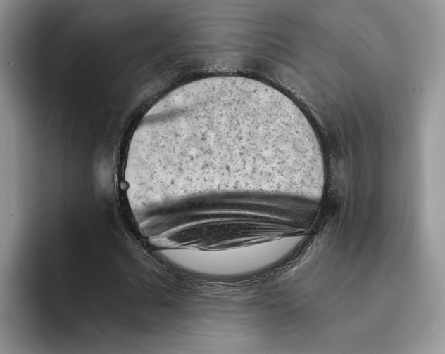 X0000091570681200709171058