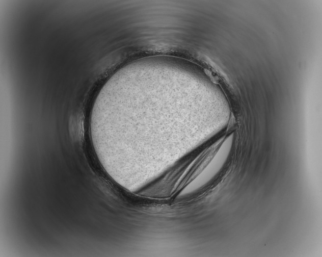 X0000091570685200709171058