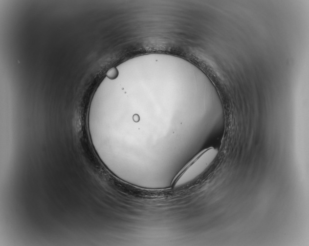 X0000091570687200709171058