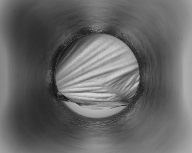 X0000091570689200709171058