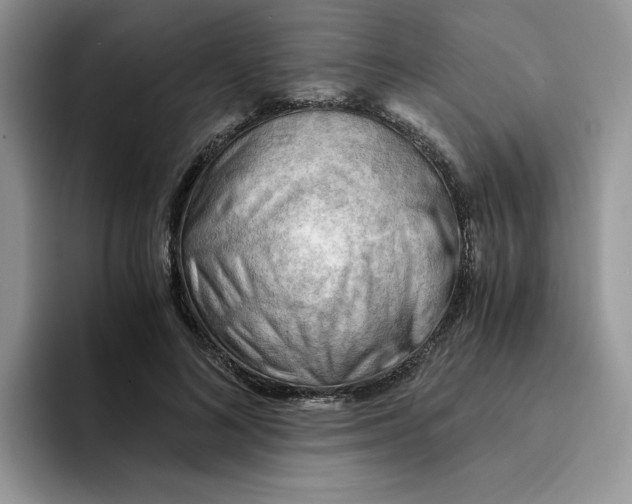 X0000091570692200709171058