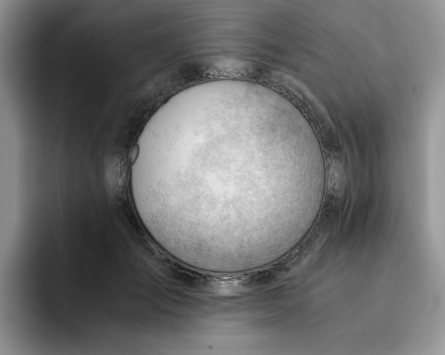 X0000091570701200709171057