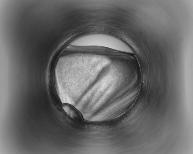 X0000091570722200709171057