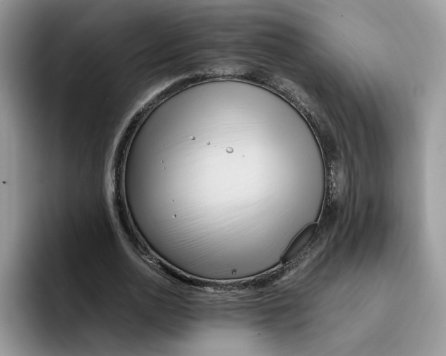 X0000091570726200709171057