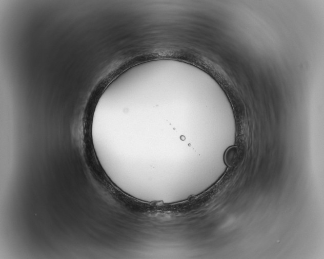 X0000091570730200709171057