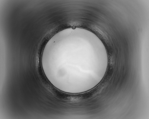 X0000091570733200709171057