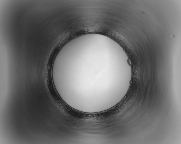 X0000091570738200709171057