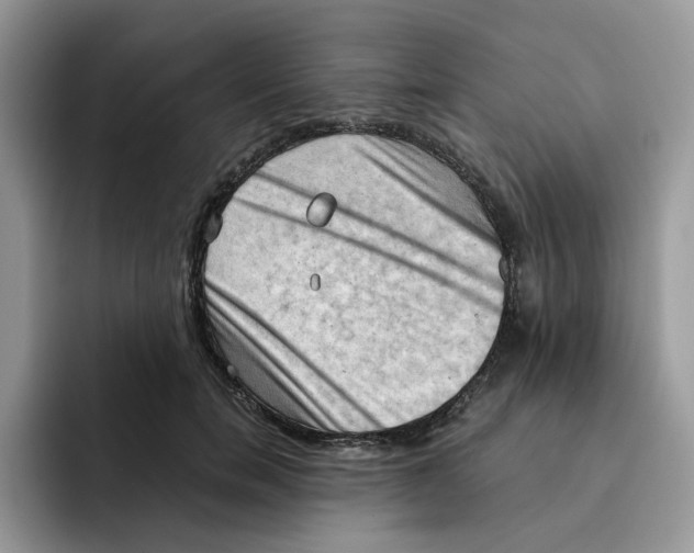 X0000091570750200709171057