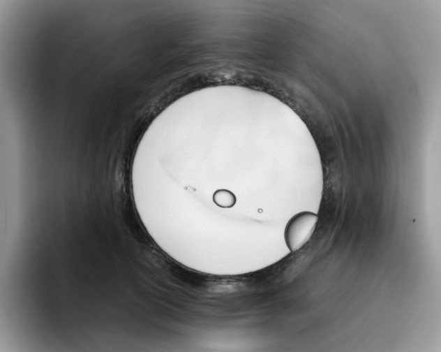 X0000091570754200709171057