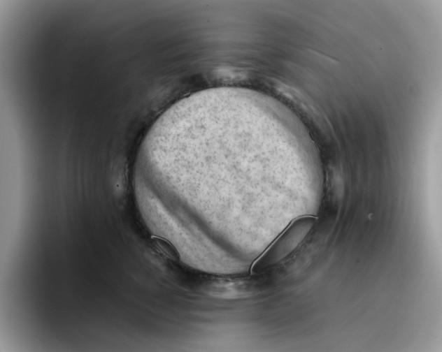 X0000091570760200709171057