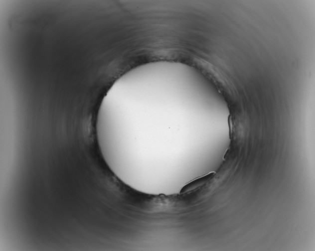 X0000091570764200709171057