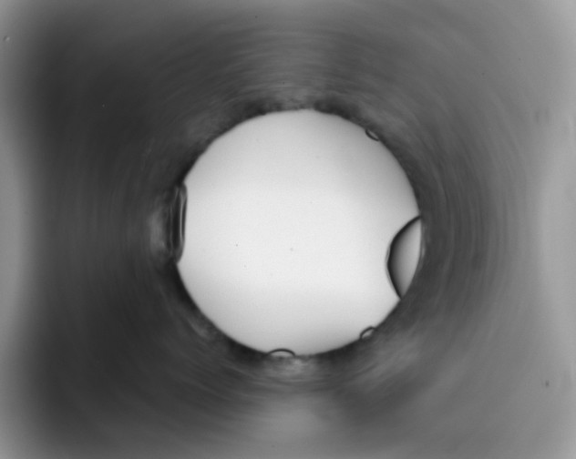 X0000091570768200709171057