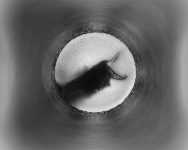 X0000091570769200709171057