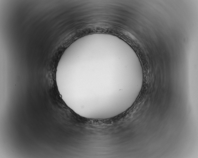 X0000091570774200709171057