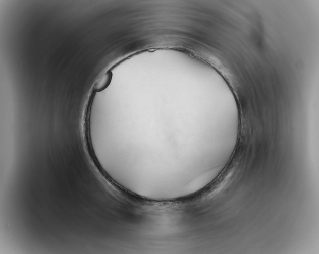 X0000091570803200709171056